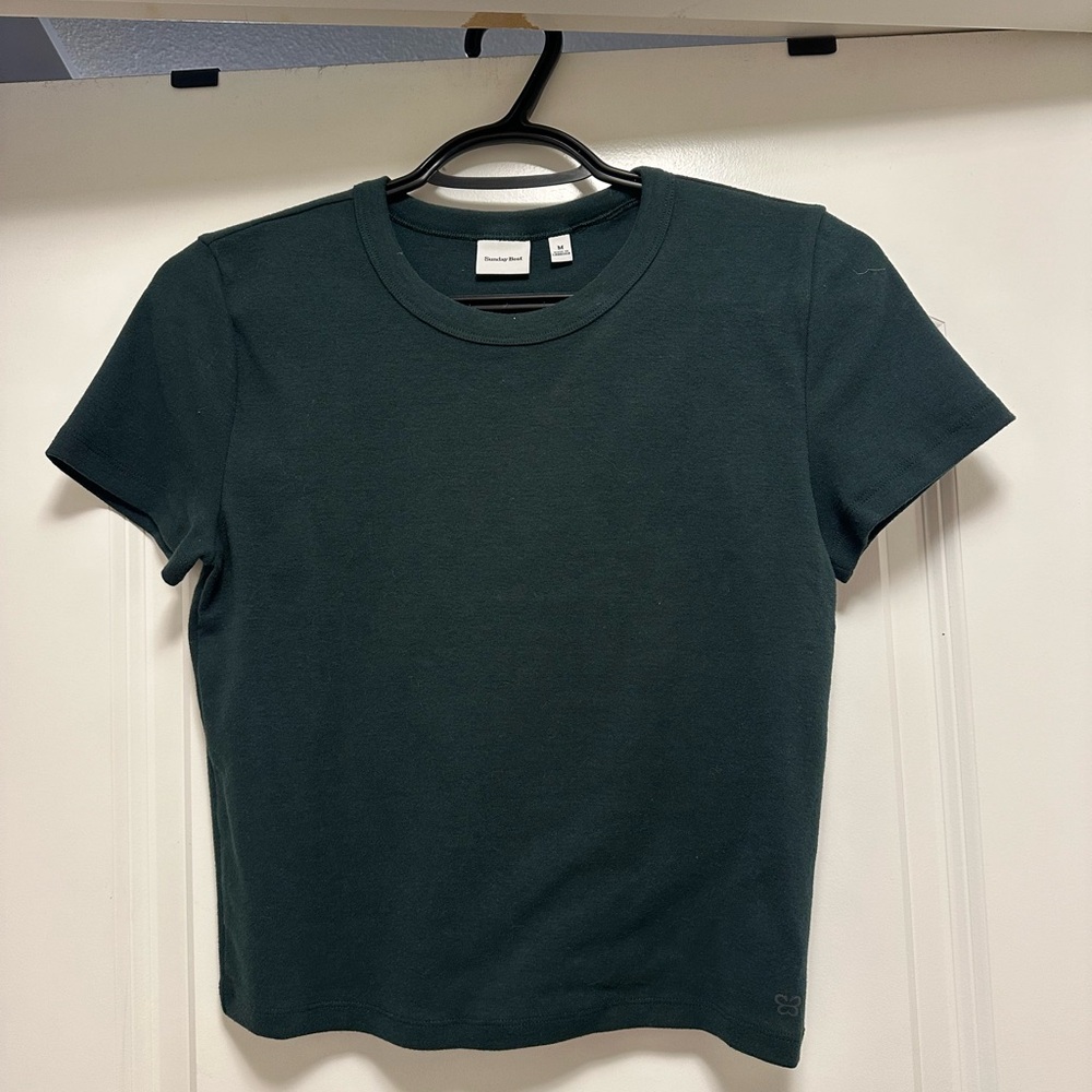 Aritzia Scarab Ribbed T-shirt